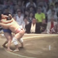 今日は嬉しい日。