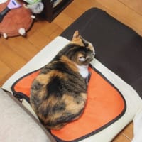 ここ、そんなにイイの？