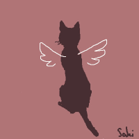 サキのこと14