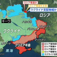 ウクライナ情勢