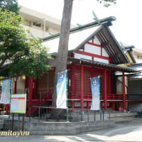 南台の鎮守「二宮神社」の七夕飾り！！