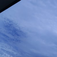 ぶり返した説