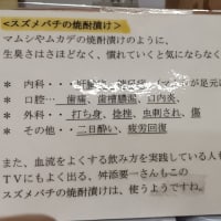 スズメバチの焼酎漬け～北丹沢の麓　高城商店