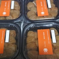 病院に入院して（6）