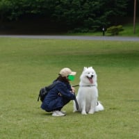 しゅうへい 昭和記念公園デビュー～＾＾