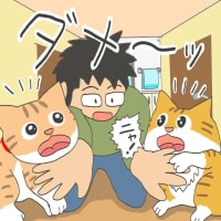 「ルキとサンは野良出身」