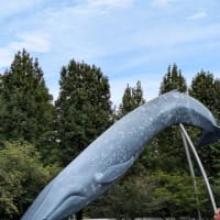 東京2泊３日の旅10　 恐竜はどこだ