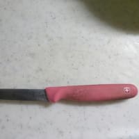 スイスのナイフ