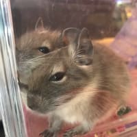 新入荷と一部特価