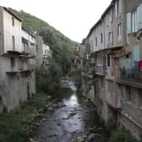 南フランス田舎紀行（16）羊皮のデレナージュ、マザメMazamet