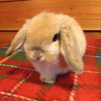 はじめまして。