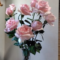 新聞から受け売り
