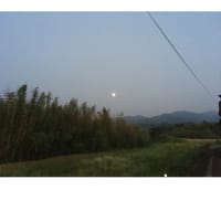 今日いち-2025年7月9日