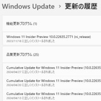 Windows 11 Beta チャンネルに 累積更新 (KB5037002) が配信されてきました。