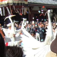 浅草寺「白鷺の舞」を見ました