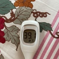 ワクチン2回目翌日