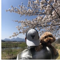 今日いち-2025年4月12日