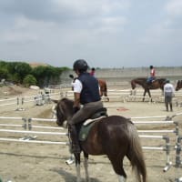 カサブランカとお馬