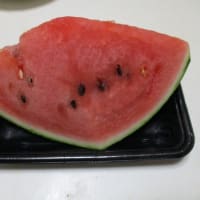 質素に少量-今日も元気----肉ジャガ、明太子、パイナップル、スイカ、豚肉の生姜汁