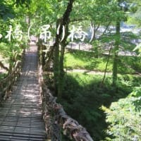 冠山トンネルを抜けて福井県池田町へ・・・