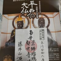 (寺社仏閣ガイド)熊谷市・平戸の大仏(ひらどのおおぼとけ)