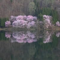 ４月の４枚【中網湖の水鏡】