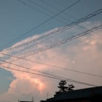 走る〜