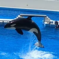 須磨シーワールドだぜ　2