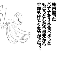 こういうのもまるごとバナナと言える気がします。