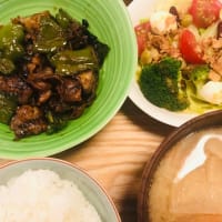 関根光才監督「フロントライン」を観る ～ 日本で初めて新型コロナウィルスの集団感染が発生した豪華客船「ダイヤモンド・プリンセス号」での実話をもとにした人間ドラマ