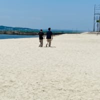 リハビリ散歩・夏の海