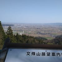幸せの白いカタクリ