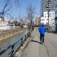 青空の中、高田城址公園周辺を走ってみた。