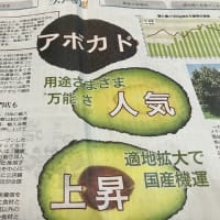 温暖化せい！？