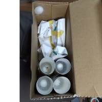 蚕飼育報告５月２２日（スタッフ報告）