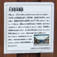 東海道53次　大津宿　東海道57次　分岐点　枚方宿　2猫食事