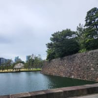 さくら
