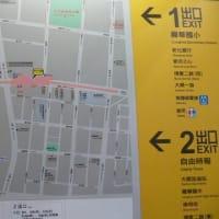 2016/01/28 七度目の台湾ナンバ歩きで一周を計画。