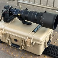 修理から帰って来た180-400mmのテスト撮影。 近鉄7000系・7020系 #6