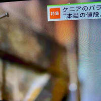 日本はアフリカになっていた。搾取がひどすぎる。