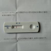 抗原検査、陰性でした。　叔母の葬儀に参列出来ました。