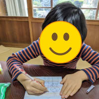 目の中に入れたら…？