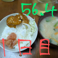 ダイエット１日目〜８日日