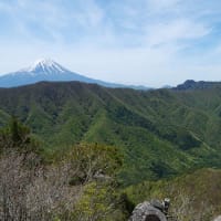 山梨百名山の釈迦ヶ岳（笛吹市芦川、1,641m）登山（２）【富士山など山頂からの眺望、下山、おごっそう家でかき揚げ丼】