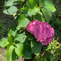 とてもとてもご無沙汰です