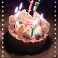 11.2 息子の17歳の誕生日