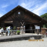 7月18日　和歌山県植物公園（カルドン・チョウセンアサガオ・ビャクブ・ハマボウ）根来げんきの森（タラノキ・ゴンズイ・モミジ実生・・）　