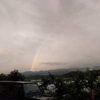 雨の後　キレイな虹が