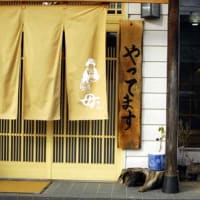 日記　09.12.8
