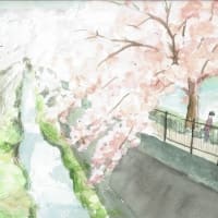 川と桜の水彩画